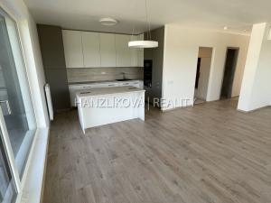 Pronájem bytu 4+kk, České Budějovice, Branišovská, 103 m2