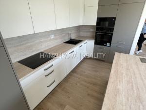 Pronájem bytu 4+kk, České Budějovice, Branišovská, 103 m2