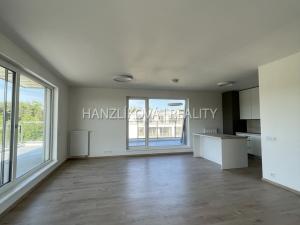Pronájem bytu 4+kk, České Budějovice, Branišovská, 103 m2