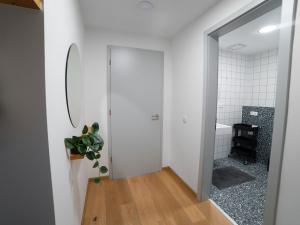 Pronájem bytu 1+kk, Olomouc, Edmunda Husserla, 29 m2