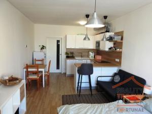 Pronájem bytu 1+kk, Hradec Králové, Jana Masaryka, 34 m2