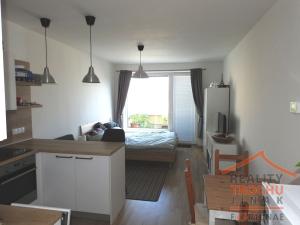 Pronájem bytu 1+kk, Hradec Králové, Jana Masaryka, 34 m2