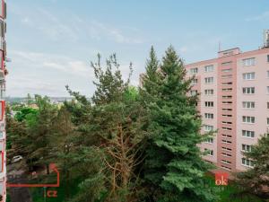Prodej bytu 3+1, Jihlava, Kollárova, 74 m2