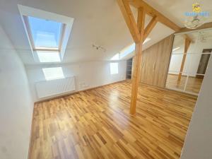Pronájem bytu 5+1, Praha - Žižkov, Chelčického, 214 m2