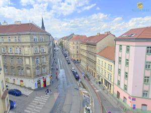 Pronájem bytu 5+1, Praha - Žižkov, Chelčického, 214 m2