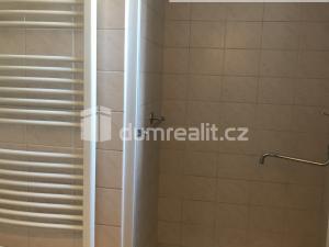 Pronájem bytu 1+1, Praha - Libeň, Zenklova, 26 m2