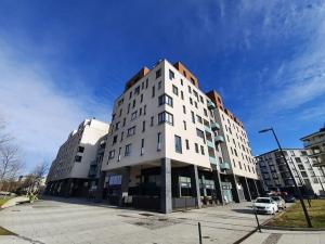 Pronájem bytu 3+kk, Ostrava - Moravská Ostrava, Důlní, 74 m2