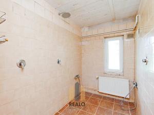 Pronájem komerční nemovitosti, Lažánky, 500 m2