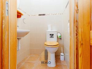 Pronájem komerční nemovitosti, Lažánky, 500 m2