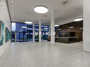 Pronájem kanceláře, Brno - Staré Brno, Nové sady, 300 m2
