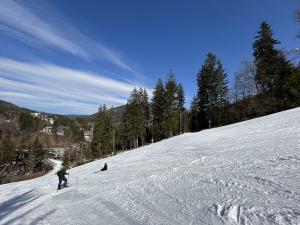 Prodej bytu 1+kk, Špindlerův Mlýn, 41 m2