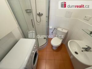 Pronájem bytu 1+kk, Praha - Smíchov, Svornosti, 22 m2