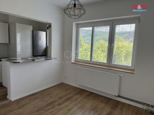 Pronájem bytu 2+kk, Velké Březno - Valtířov, 46 m2