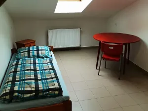 Prodej ubytování, Frýdek-Místek, Míru, 600 m2