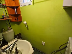 Prodej chaty, Hrejkovice, 46 m2