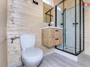 Prodej mobilheimu, Líně, Družstevní, 17 m2