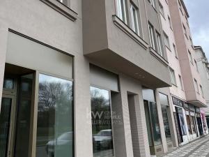 Pronájem bytu 2+kk, Praha - Vinohrady, Vinohradská, 55 m2