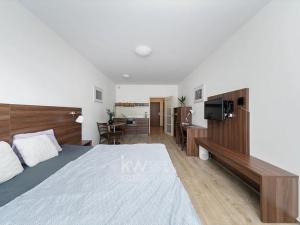 Pronájem bytu 1+kk, Praha - Vysočany, Freyova, 32 m2