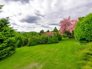 Prodej chalupy, Homole u Panny - Nová Ves u Pláně, 127 m2