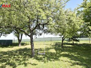 Prodej chaty, Nechanice, 16 m2