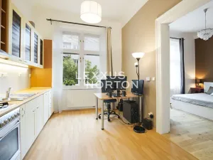Pronájem bytu 1+1, Praha - Vinohrady, Lucemburská, 40 m2