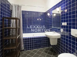 Pronájem bytu 1+1, Praha - Vinohrady, Lucemburská, 40 m2
