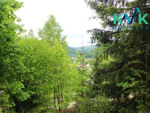 Prodej chaty, Kraslice, 65 m2
