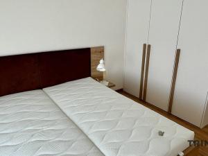Pronájem bytu 2+kk, Ostrava - Moravská Ostrava, F. X. Riepla, 58 m2