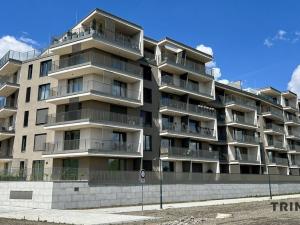 Pronájem bytu 2+kk, Ostrava - Moravská Ostrava, F. X. Riepla, 58 m2