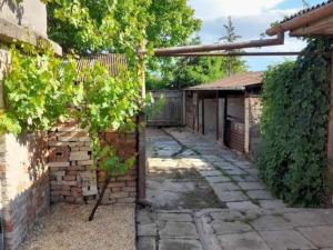 Prodej rodinného domu, Hrušovany nad Jevišovkou, Drnholecká, 160 m2