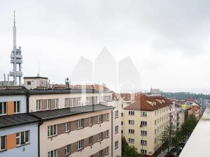 Pronájem bytu 1+1, Praha - Žižkov, Baranova, 35 m2