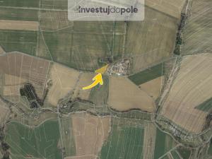 Prodej pole, Habry, 1706 m2