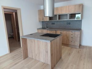 Pronájem bytu 2+kk, České Budějovice - České Budějovice 2, Na Zlaté stoce, 55 m2