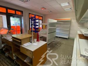 Pronájem obchodního prostoru, Zborovy, 67 m2