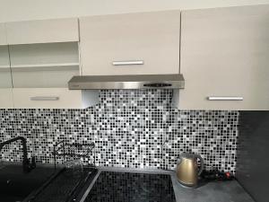 Pronájem bytu 1+kk, Jihlava, Křižíkova, 45 m2