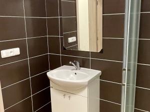 Pronájem bytu 1+kk, Jihlava, Křižíkova, 45 m2
