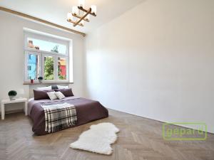 Pronájem bytu 2+1, Brno - Černovice, Olomoucká, 64 m2