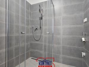 Pronájem bytu 3+kk, České Budějovice, Mikuláše z Husi, 53 m2