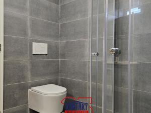 Pronájem bytu 3+kk, České Budějovice, Mikuláše z Husi, 53 m2