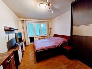 Prodej bytu 2+1, Ústí nad Labem - Ústí nad Labem-centrum, Velká Hradební, 54 m2