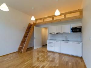 Pronájem bytu 1+kk, Praha - Nové Město, Legerova, 30 m2