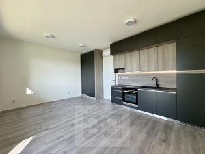 Pronájem bytu 1+kk, Znojmo, Kotkova, 35 m2