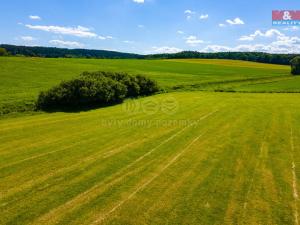 Prodej louky, Blížejov, 2373 m2