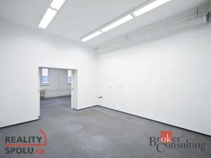 Prodej obchodního prostoru, Pardubice - Zelené Předměstí, V Ráji, 740 m2