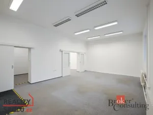 Prodej obchodního prostoru, Pardubice - Zelené Předměstí, V Ráji, 740 m2