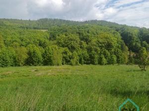 Prodej pozemku pro bydlení, Hošťálkovy - Vraclávek, 1494 m2