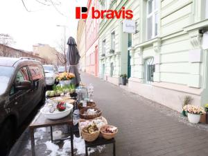 Pronájem bytu 1+kk, Brno, Gorkého, 28 m2