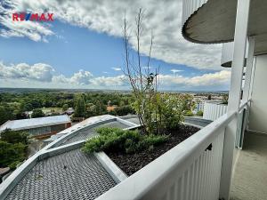 Pronájem bytu 2+kk, Plzeň, U Borského parku, 61 m2