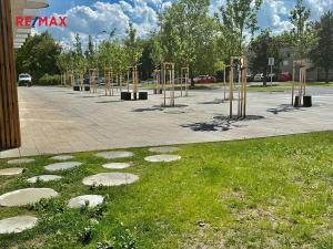 Pronájem bytu 2+kk, Plzeň, U Borského parku, 61 m2