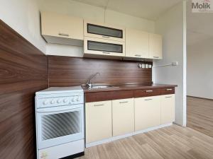Pronájem bytu 1+1, Most, Javorová, 34 m2